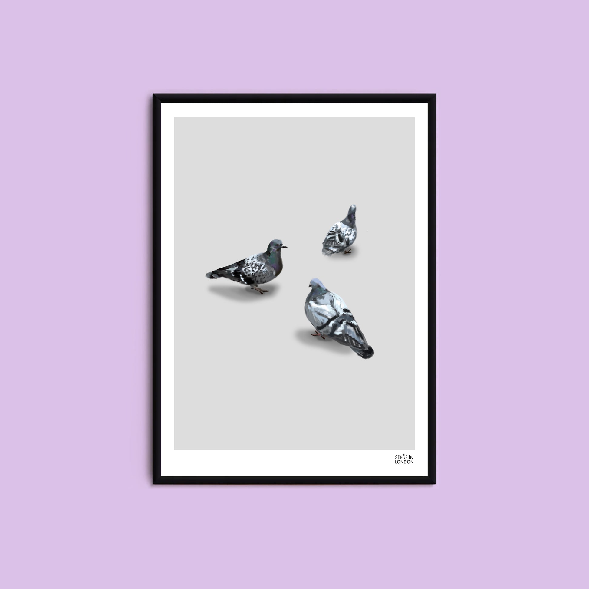 Artwork of three London pigeons by art brand, Scene in London