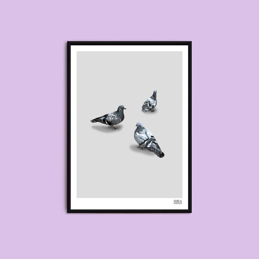 Artwork of three London pigeons by art brand, Scene in London